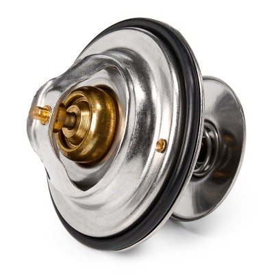 316T0019-ثيرمستات مرسيدس W124